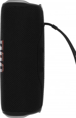 Колонка порт. JBL Flip 6