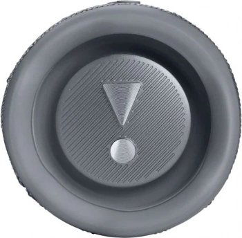 Колонка порт. JBL Flip 6