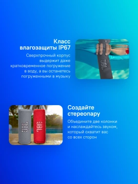 Колонка порт. JBL Flip 6