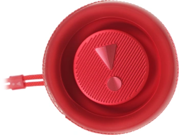 Колонка порт. JBL Flip 6