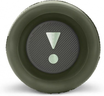 Колонка порт. JBL Flip 6