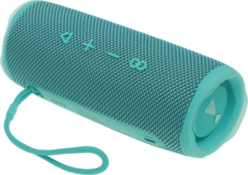 Колонка порт. JBL Flip 6