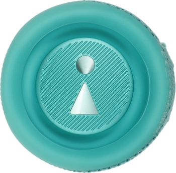 Колонка порт. JBL Flip 6