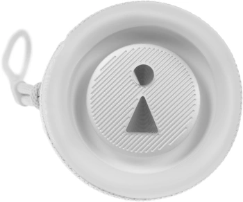 Колонка порт. JBL Flip 6