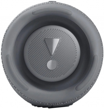 Колонка порт. JBL Charge 5