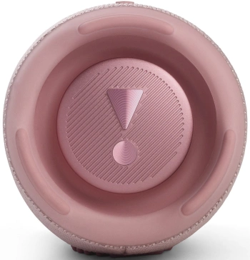 Колонка порт. JBL Charge 5