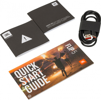 Колонка порт. JBL Flip 5