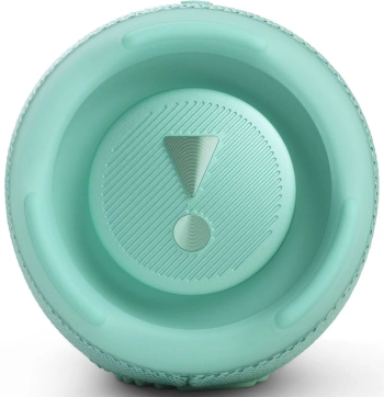 Колонка порт. JBL Charge 5