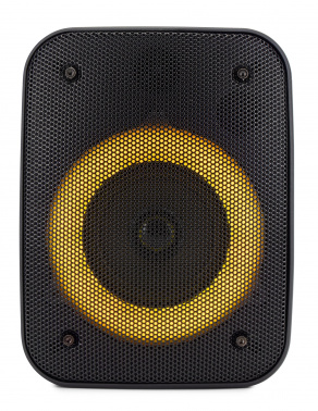 Колонка порт. Hyundai H-PS1005