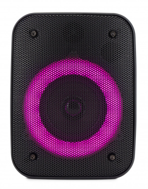 Колонка порт. Hyundai H-PS1005