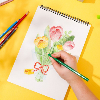 Карандаши цв. Deli  EC00827