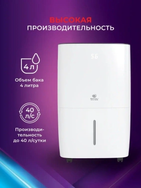 Осушитель воздуха Royal Clima Carisma Villa RD-CR40-E