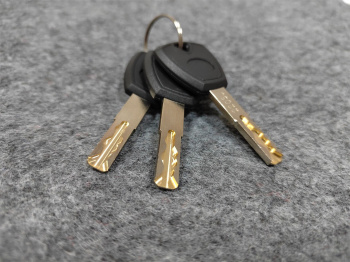 Сейф мебельный Cactus  CS-SF-F25L