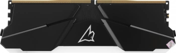 Память DDR4 16GB 3200MHz Netac  NTSRD4P32SP-16E