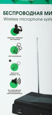 Микрофон радио Ritmix RWM-210