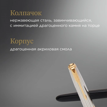 Ручка перьев. Parker 51 Premium