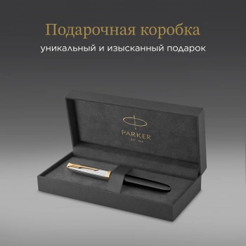 Ручка перьев. Parker 51 Premium