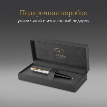 Ручка шариков. Parker 51 Premium
