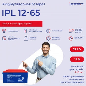 Батарея для ИБП Ippon IPL12-065