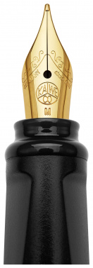 Ручка перьев. Moleskine Kaweco