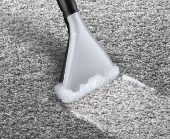 Пылесос моющий Bosch BWD420HYG