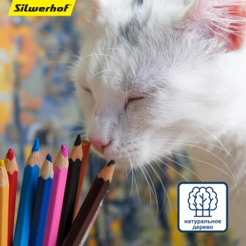 Карандаши цв. Silwerhof  Jumbo Mini