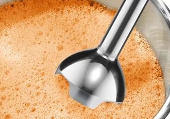 Блендер погружной Bosch CleverMixx MSM24500