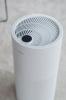 1867911_v03_s.jpg