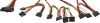 1868556_v09_s.webp