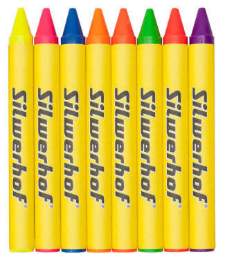 Восковые мелки Silwerhof Neon