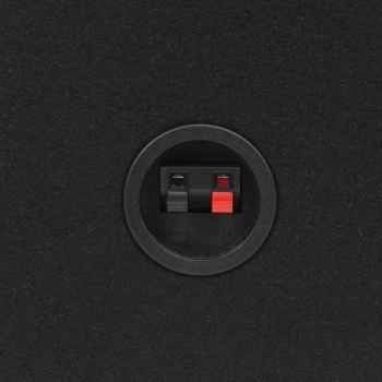 Сабвуфер автомобильный Pioneer TS-WX306B