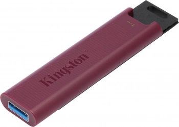 Флеш Диск Kingston 1TB DataTraveler Max