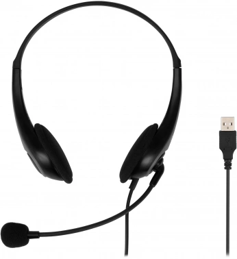 Наушники с микрофоном Оклик HS-M300