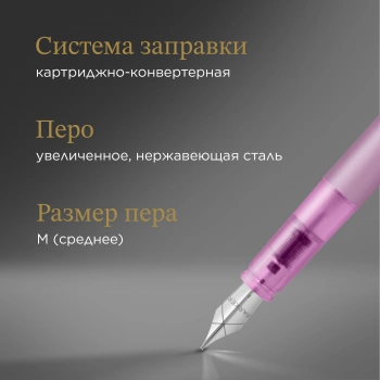 Ручка перьев. Parker Vector XL F21