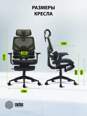 Кресло Cactus  CS-CHR-MC01-LGNBK