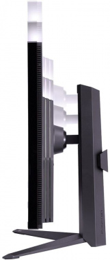 Монитор LG 31.5