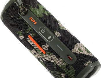 Колонка порт. JBL Flip 6