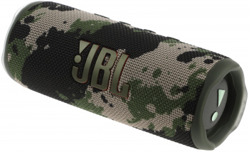 Колонка порт. JBL Flip 6