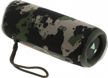 Колонка порт. JBL Flip 6