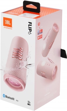 Колонка порт. JBL Flip 6