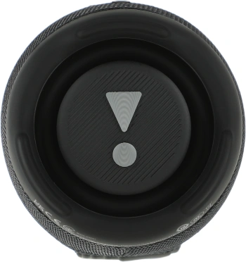 Колонка порт. JBL Charge 5