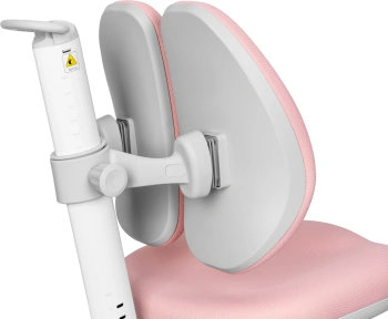 Кресло детское Cactus  CS-CHR-3604PK