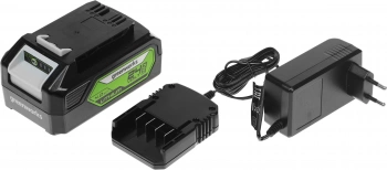 Цепная пила Greenworks  G24CS25K4