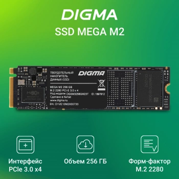 Накопитель SSD Digma PCIe 3.0 x4 256GB DGSM3256GM23T