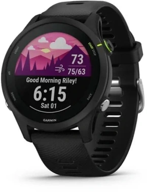 Смарт-часы Garmin Forerunner 255