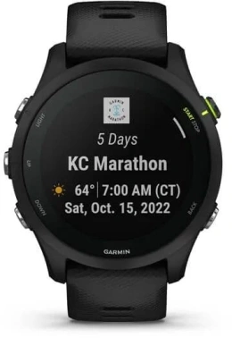 Смарт-часы Garmin Forerunner 255