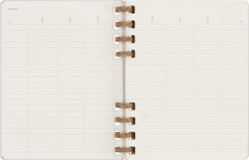 Еженедельник Moleskine SPIRAL XL 204х252мм недатир. обложка картон 200стр. спираль сиреневый