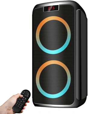 Мидисистема Ginzzu GM-202