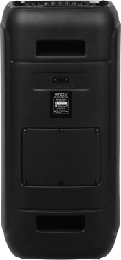 Мидисистема Ginzzu GM-202