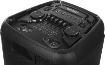 Мидисистема Ginzzu GM-202